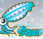 servidor proxy squid3